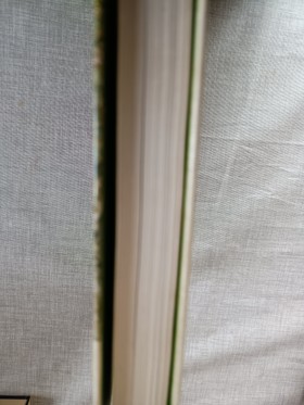 bookImage