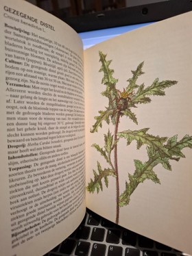 bookImage