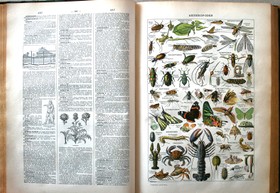 bookImage