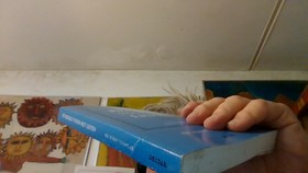 bookImage