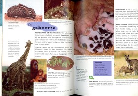 bookImage
