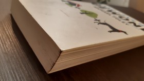 bookImage