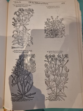 bookImage