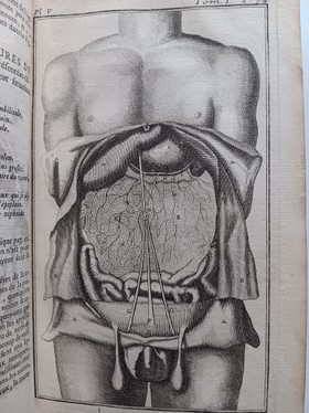 bookImage
