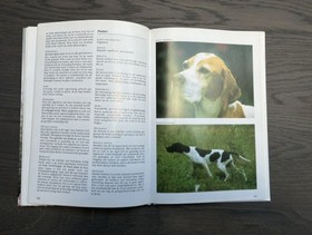 bookImage