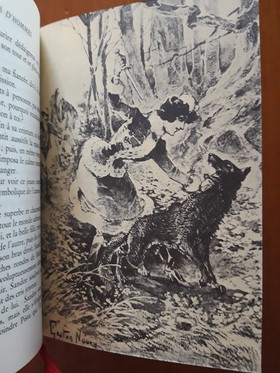 bookImage