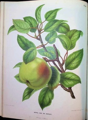 bookImage