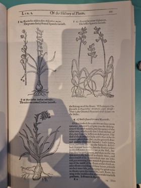 bookImage