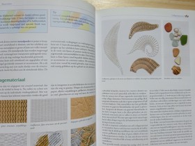 bookImage