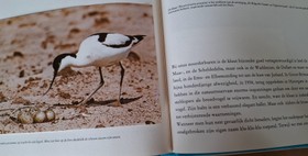 bookImage