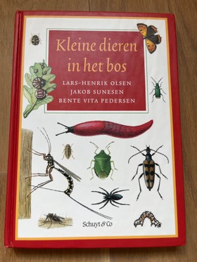 bookImage