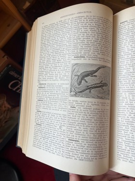 bookImage