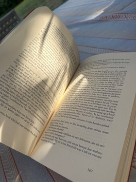bookImage