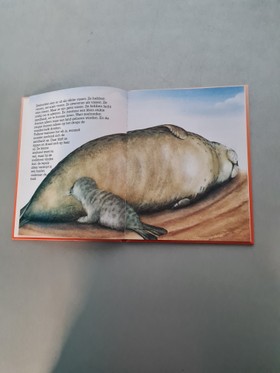 bookImage