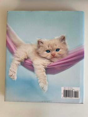 bookImage