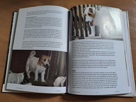 bookImage