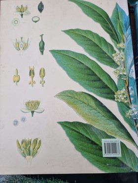 bookImage