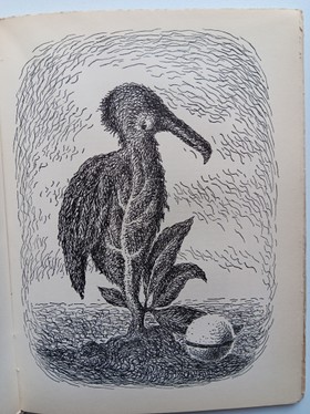 bookImage