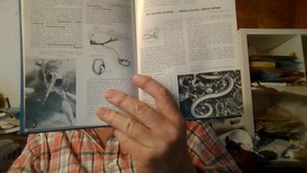 bookImage