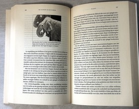 bookImage
