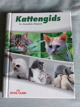 bookImage