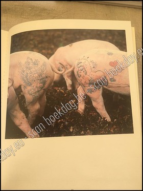 bookImage