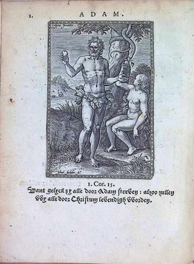 bookImage