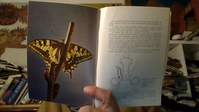 bookImage