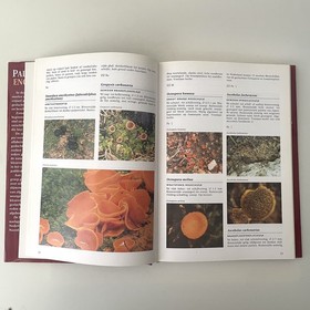 bookImage