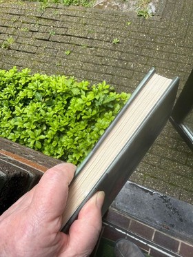bookImage