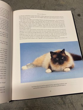 bookImage