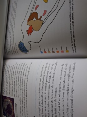 bookImage