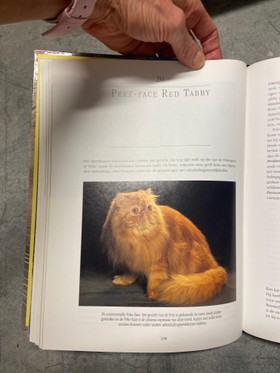 bookImage