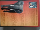bookImage