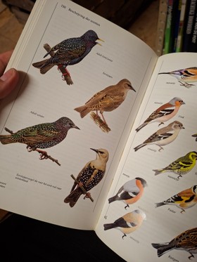 bookImage