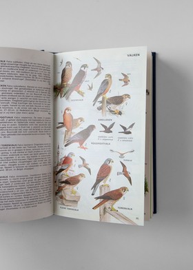 bookImage