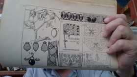 bookImage