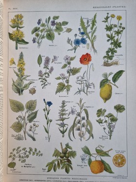 bookImage