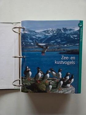 bookImage