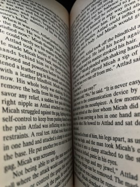 bookImage