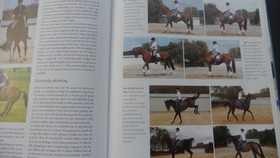 bookImage