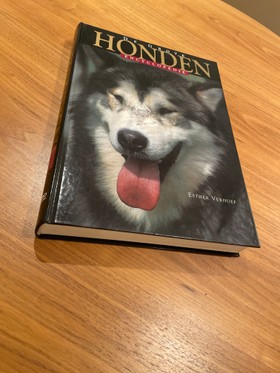 bookImage