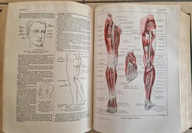 bookImage