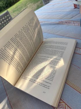 bookImage