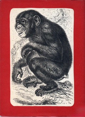 bookImage