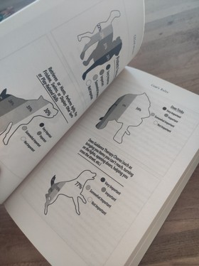 bookImage