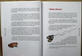 bookImage