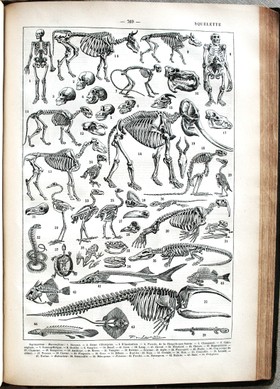 bookImage
