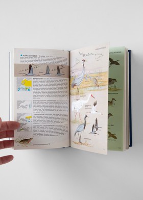 bookImage