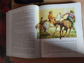 bookImage